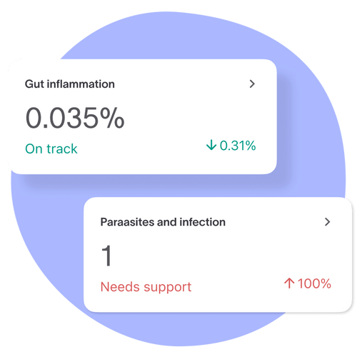 Adult Gut Health Test Tiny Health